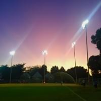 Softball's back. Thursday night lights - Alameda