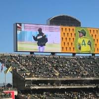 MC Hammer throwing the ceremonial first pitch - Oakland, CA