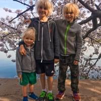 Blossom brothers - D.C