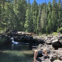 Lazy lizards - Farewell Bend, OR