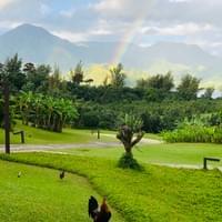 The locals not impressed by the rainbow - Hanalei Bay