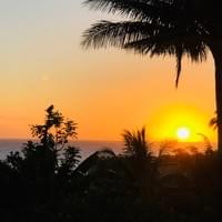 Sunset with palm tree - check.