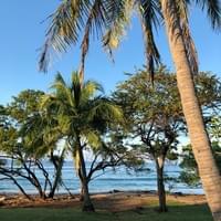 Every photo needs a palm tree