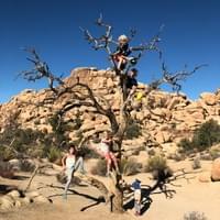 I'm not sure the tree appreciated the wildlife