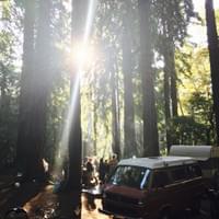Cali camping - Butano State Park, CA