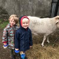 Unimpressed - Oakland Zoo