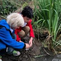 The 2nd grade class releasing their trout - Oakland