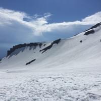 Day 1: The scale...look bottom left for the ants