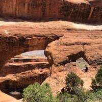 Hoggy in his happy place - Arches National Park