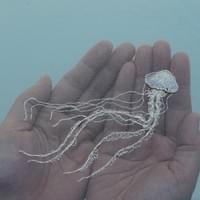 Indonesian Sea nettel