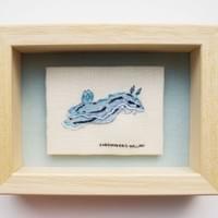 Willan's chromodoris
