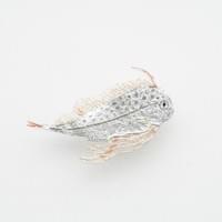 Young Polkadot fish