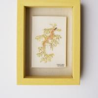 Leafy sea dragon