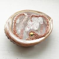 Sea in My Palm: Octopus and its eggs