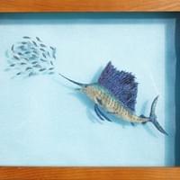Indo-Pacific sailfish