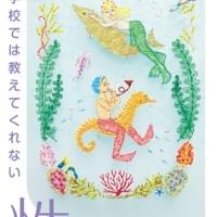 Book cover illustration　
