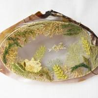 Sea in My Palm: Drifting Seaweed