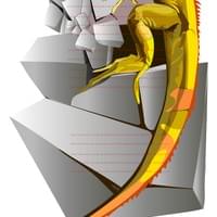 IGUANA