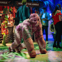 Welcome to the Jungle, 500 pax, Kromhout