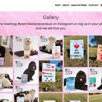 Petstagram Pro: O Guia Definitivo para Arrasar no Instagram com o Seu Negócio Pet