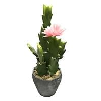 Artificial Cactus