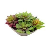 Artificial Succulents