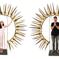 2021 AGAVE AUREOLE 