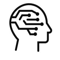 20+ years experience