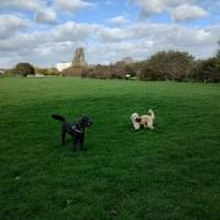 Freddie & Max