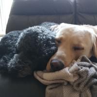 Freddie and Fred