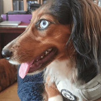 Jasper