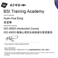 BSI ISO45003