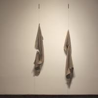 Re-collection II. Aluminum, silver, handwoven cotton, natural dye (cinnamon) 74” x 27” x 5” 