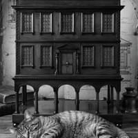 35cm smaller prebuild for larger 1:12 Scale dollhouse version which is now in progress