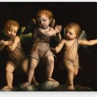 2025 Project/Theme - Three Cherubs - Bernardino Luini 