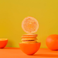 Wide selection from top quality freeze dry manufacturers