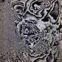 #15