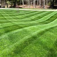 LAWN STRIPING