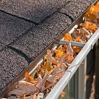 ROOF & GUTTERS CLEANUP