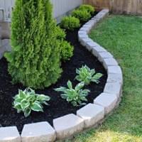 TREE & SHRUB PLANTING