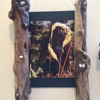 On display at Discovery Coffee, Oak Bay Victoria BC
