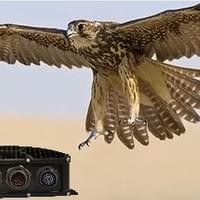 Falcon II - Small Form Factor Embedded Computer