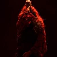 broken image