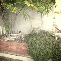 マンション向山