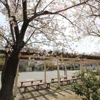 マンション向山の近所の公園