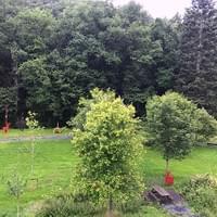 Uitzicht op de Ardennen