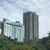 黎桂添，博因愛東，啟愛，優質樂苗日校，優質樂苗夜校，小種子