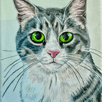 Zeiss the Cat
