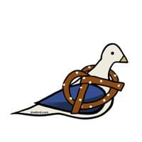 Pretzel Pigeon