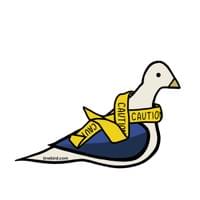 Caution Tape Pigeon